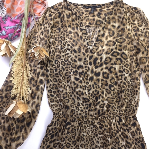 White House Black Market Leopard Print Gold Strip Sheer Dress Sz 4 - Picture 2 of 12